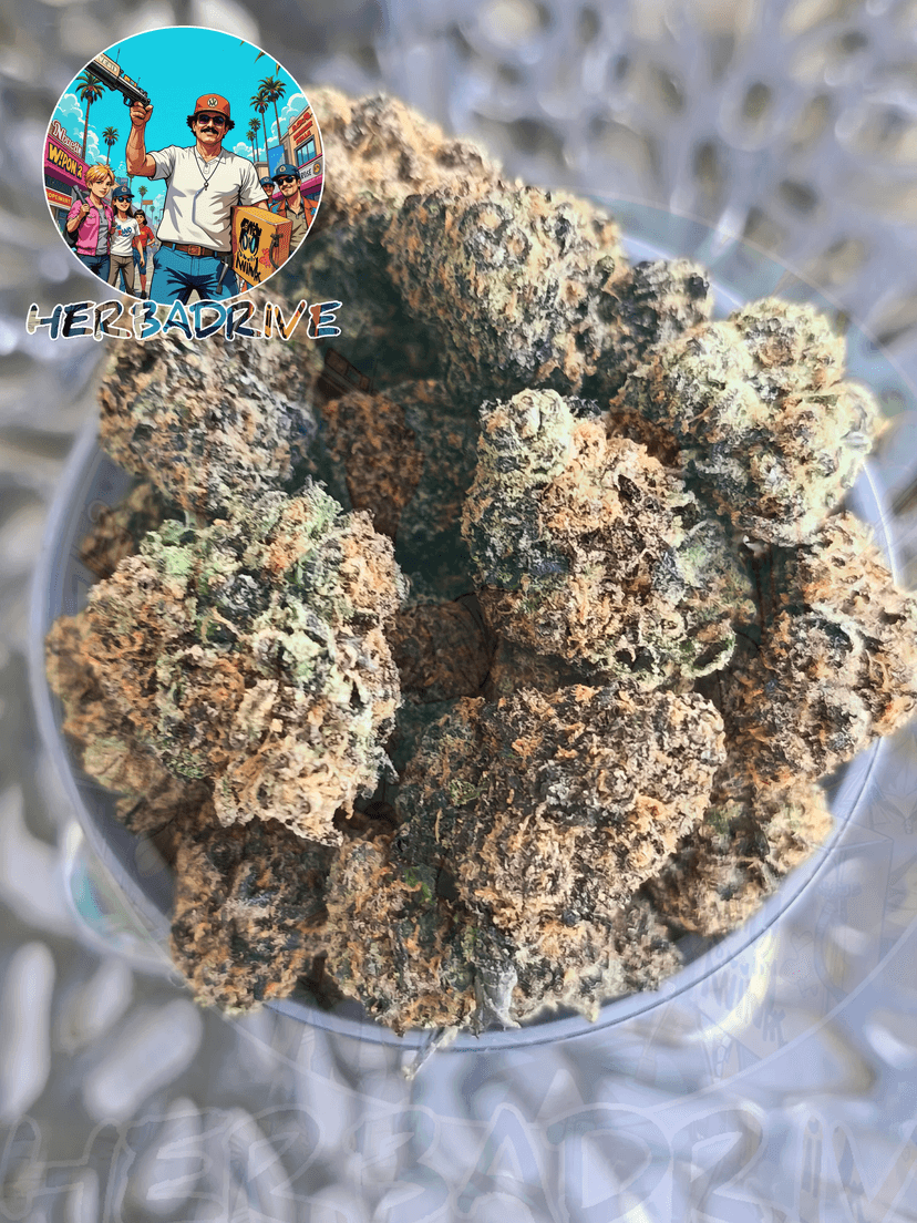 💙 BLUE CHEESE 🧀photo