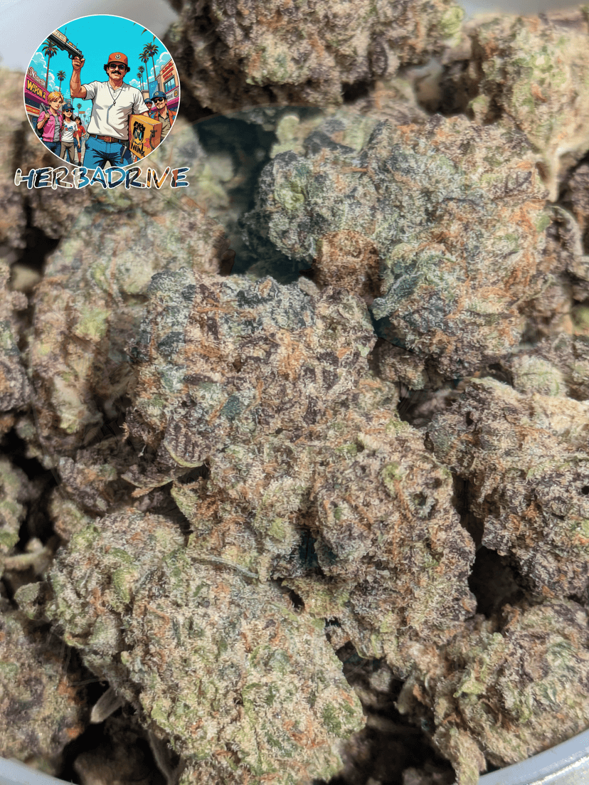 💜 PURPLE BOOST HIGHNESS 🔆photo