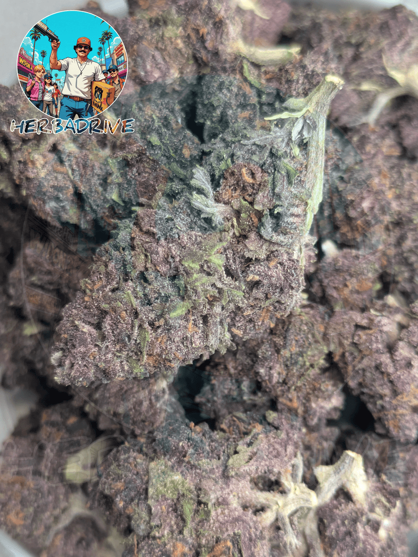 ❤️ REDHOT COOKIES 🍪photo