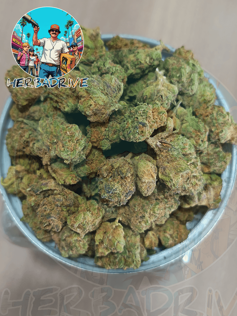🤟 WEST COAST DIESEL ⛽photo